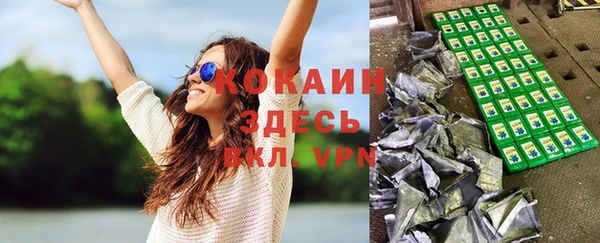 ГАЛЛЮЦИНОГЕННЫЕ ГРИБЫ Семёнов