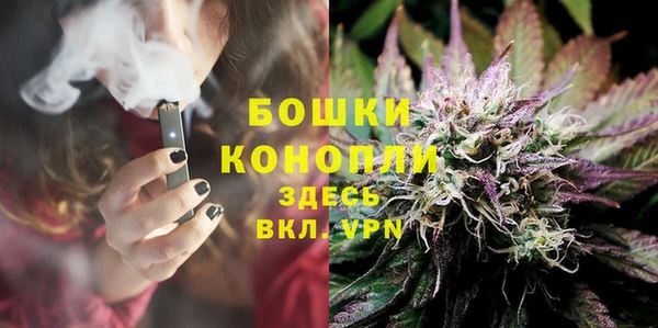 ГАЛЛЮЦИНОГЕННЫЕ ГРИБЫ Семёнов