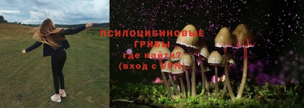 spice Абаза